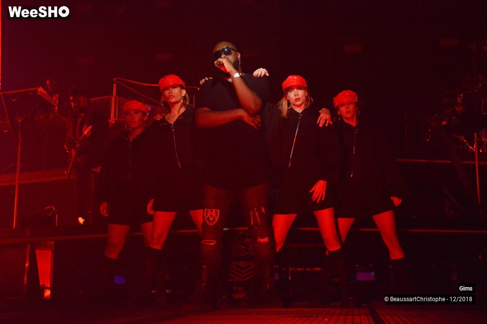 34/41 photos du spectacle Gims