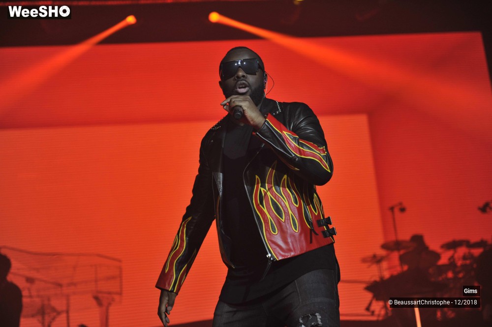 35/41 photos du spectacle Gims