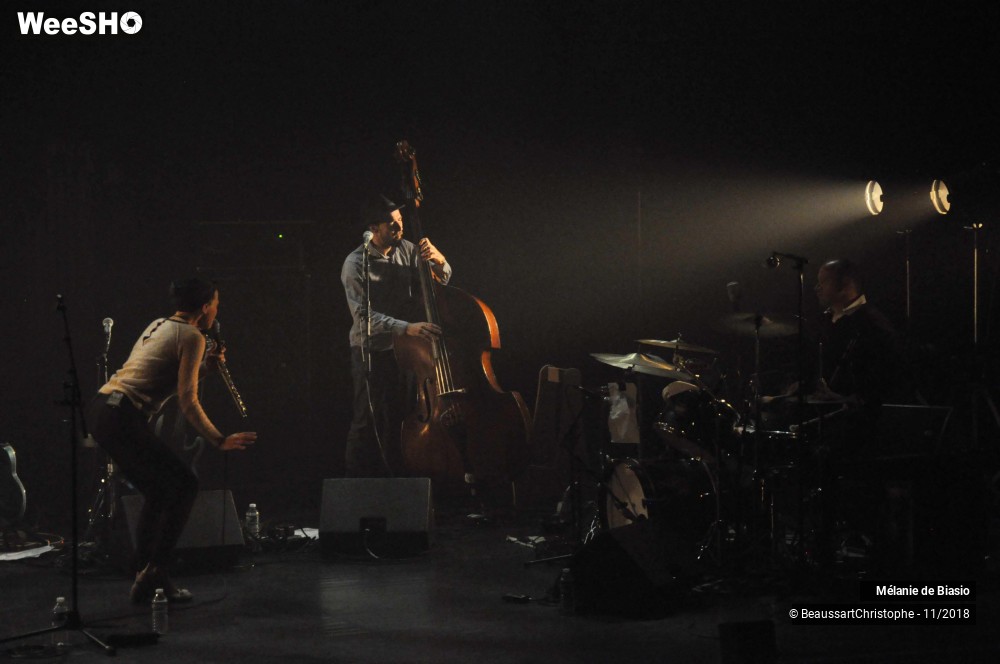 16/20 photos du spectacle Mélanie de Biasio