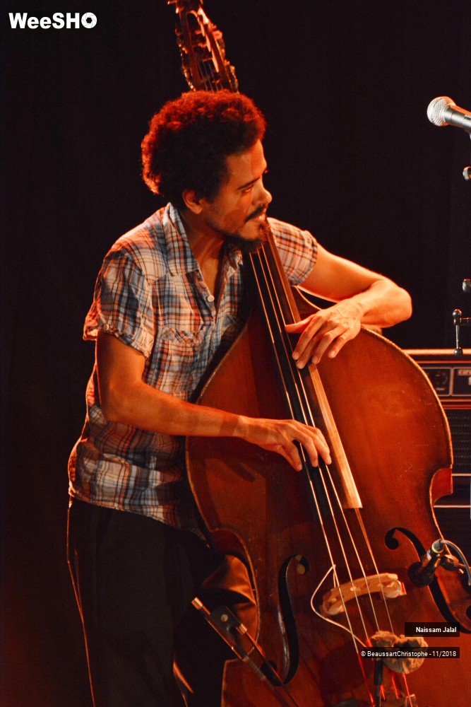 5/41 photos du spectacle Naissam Jalal & Rythms of  Resistance