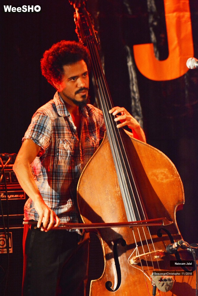 9/41 photos du spectacle Naissam Jalal & Rythms of  Resistance