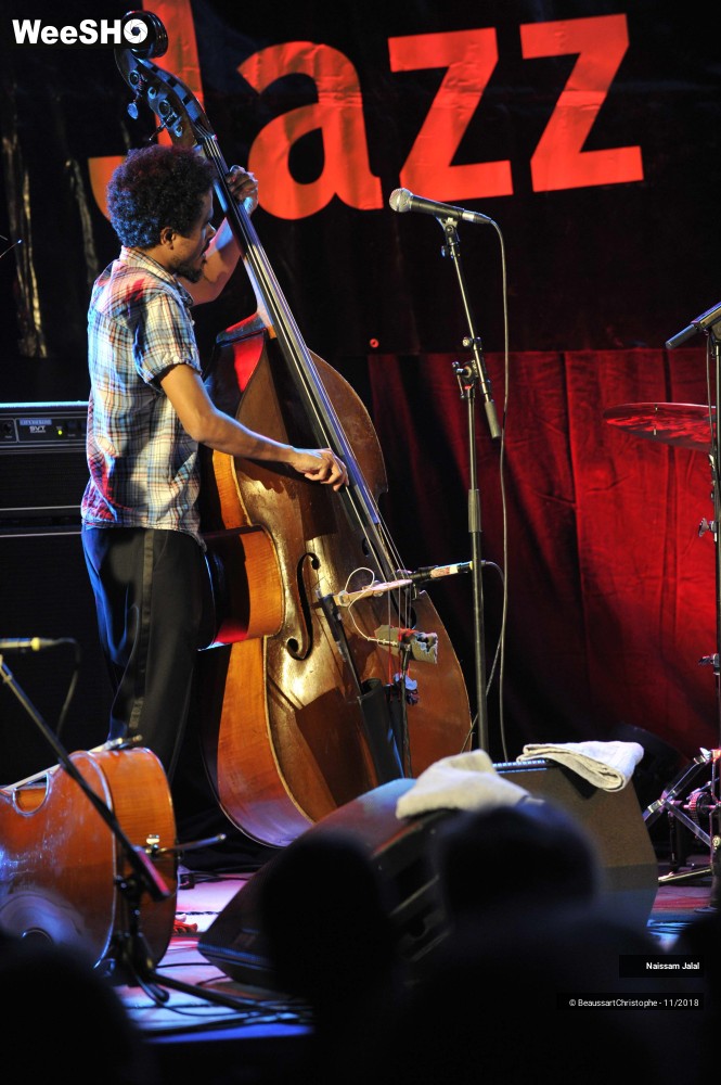 13/41 photos du spectacle Naissam Jalal & Rythms of  Resistance