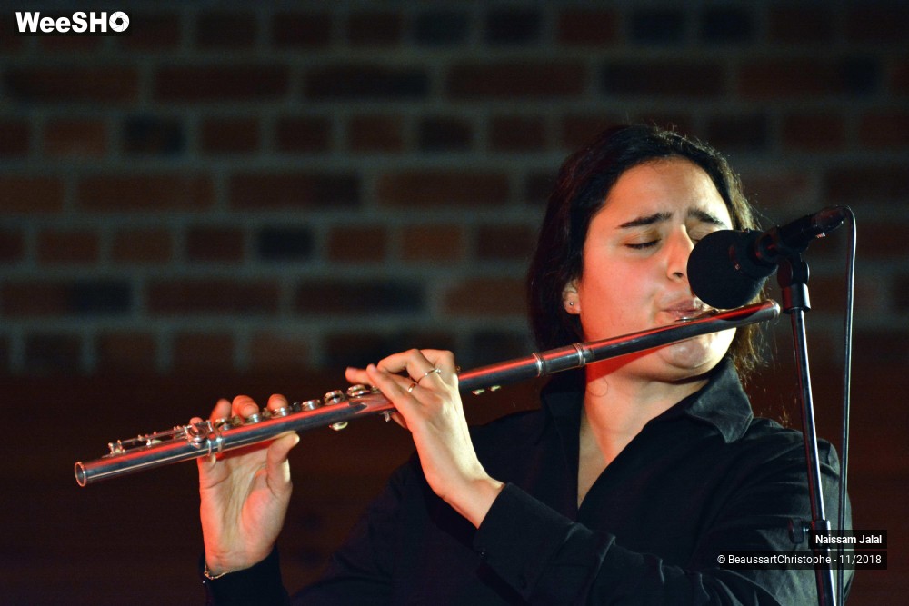 19/41 photos du spectacle Naissam Jalal & Rythms of  Resistance