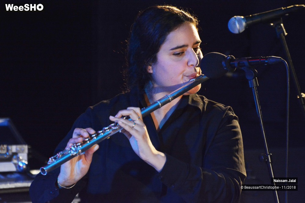 20/41 photos du spectacle Naissam Jalal & Rythms of  Resistance