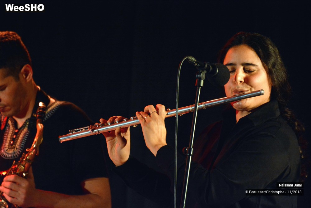 29/41 photos du spectacle Naissam Jalal & Rythms of  Resistance