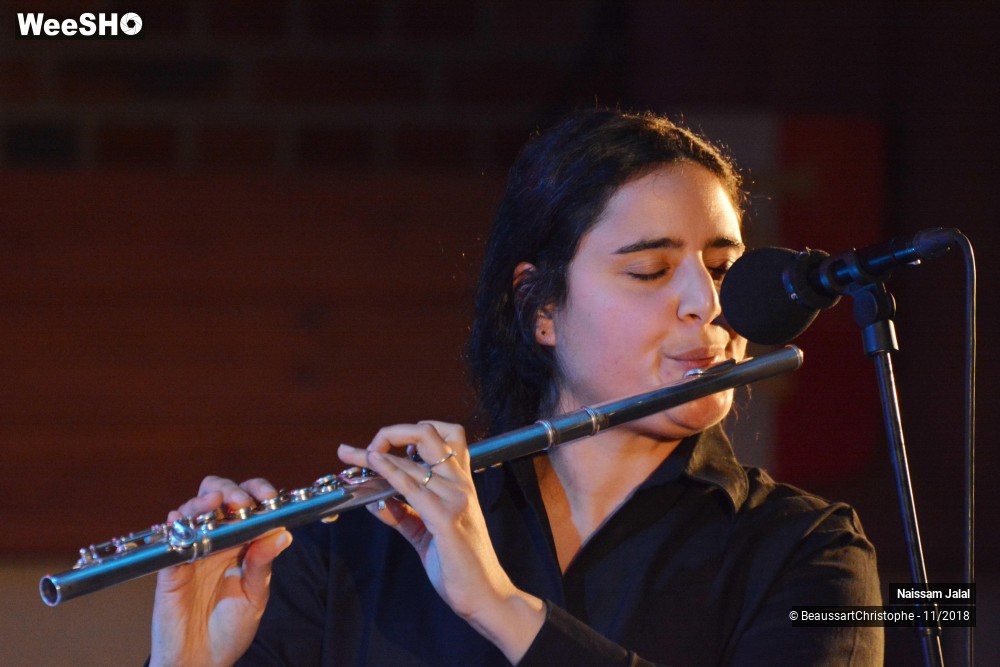 31/41 photos du spectacle Naissam Jalal & Rythms of  Resistance