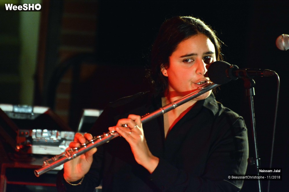 33/41 photos du spectacle Naissam Jalal & Rythms of  Resistance