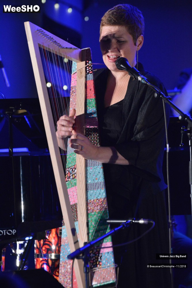 6/21 photos du spectacle Univers Jazz Big Band