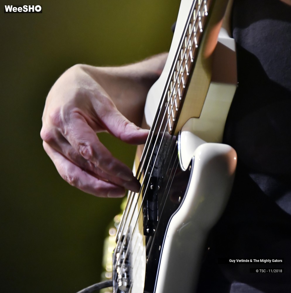 3/44 photos du spectacle Guy Verlinde & The Mighty Gators