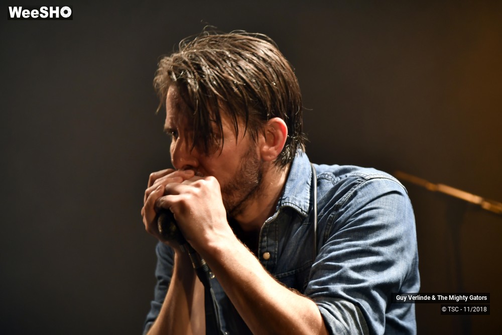 24/44 photos du spectacle Guy Verlinde & The Mighty Gators