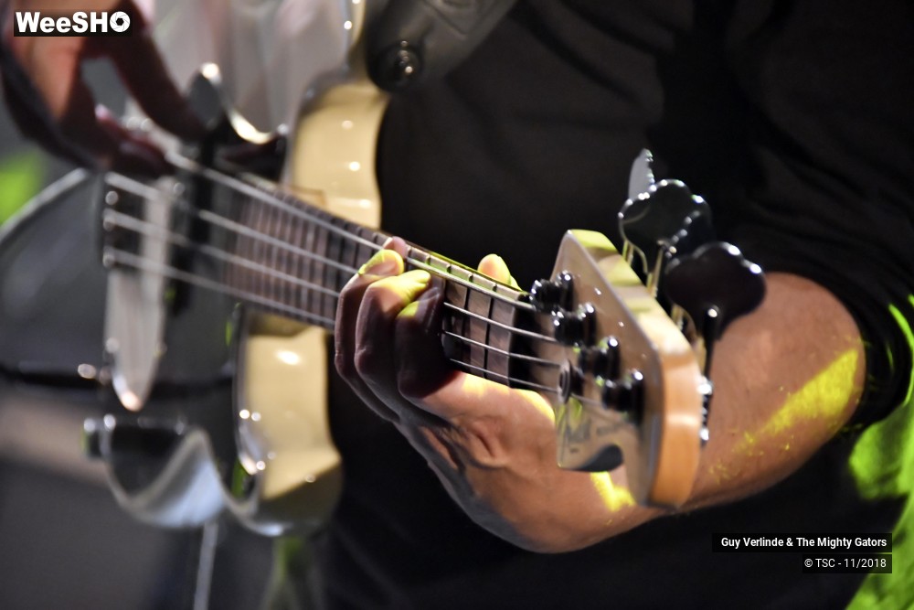 35/44 photos du spectacle Guy Verlinde & The Mighty Gators