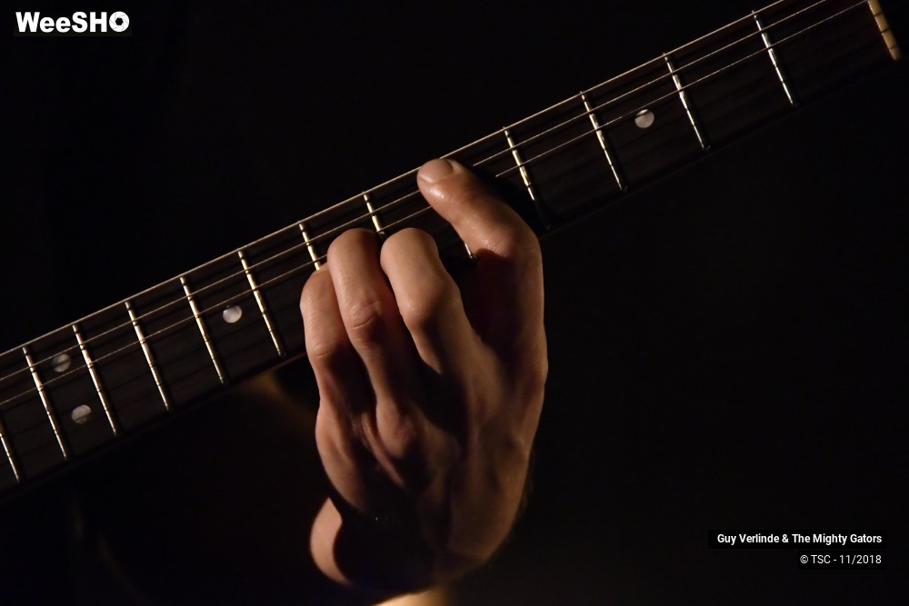 37/44 photos du spectacle Guy Verlinde & The Mighty Gators