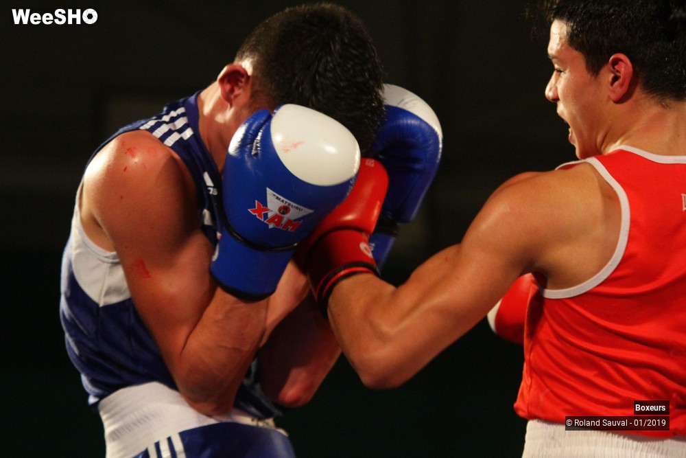 2/41 photos du spectacle Les combats amateurs