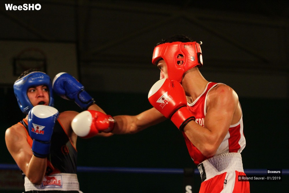 5/41 photos du spectacle Les combats amateurs