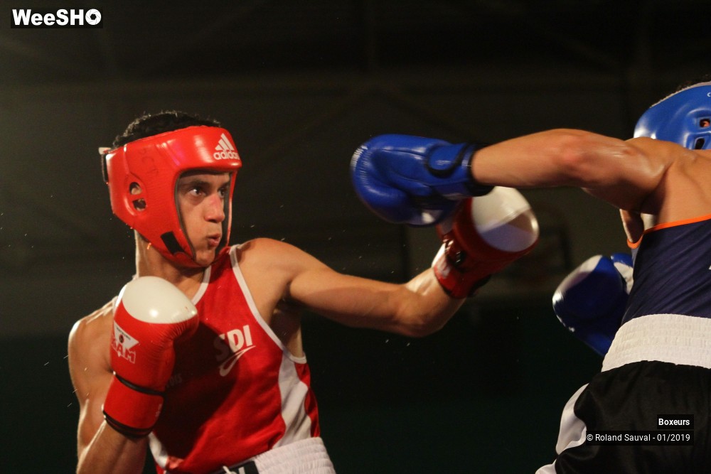 6/41 photos du spectacle Les combats amateurs