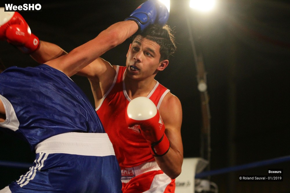 7/41 photos du spectacle Les combats amateurs