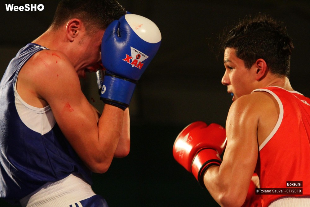 10/41 photos du spectacle Les combats amateurs