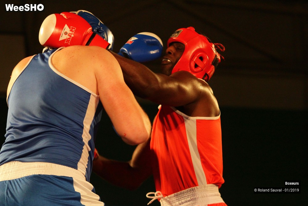 12/41 photos du spectacle Les combats amateurs