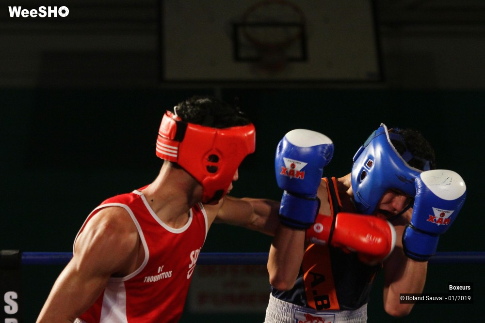 15/41 photos du spectacle Les combats amateurs