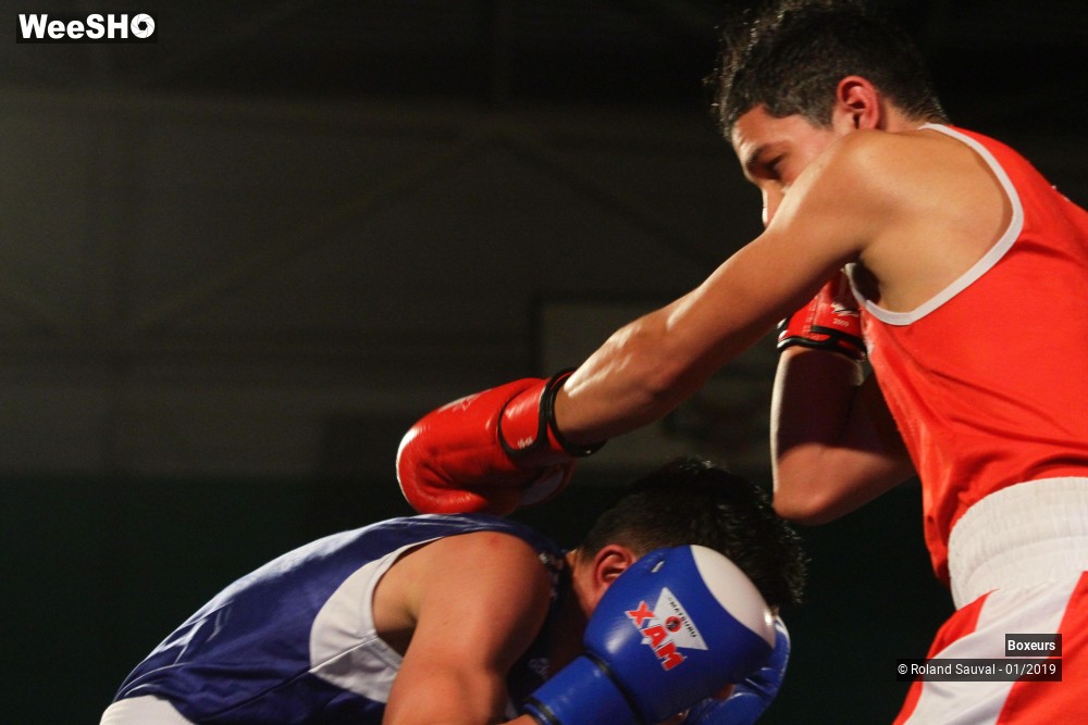 19/41 photos du spectacle Les combats amateurs