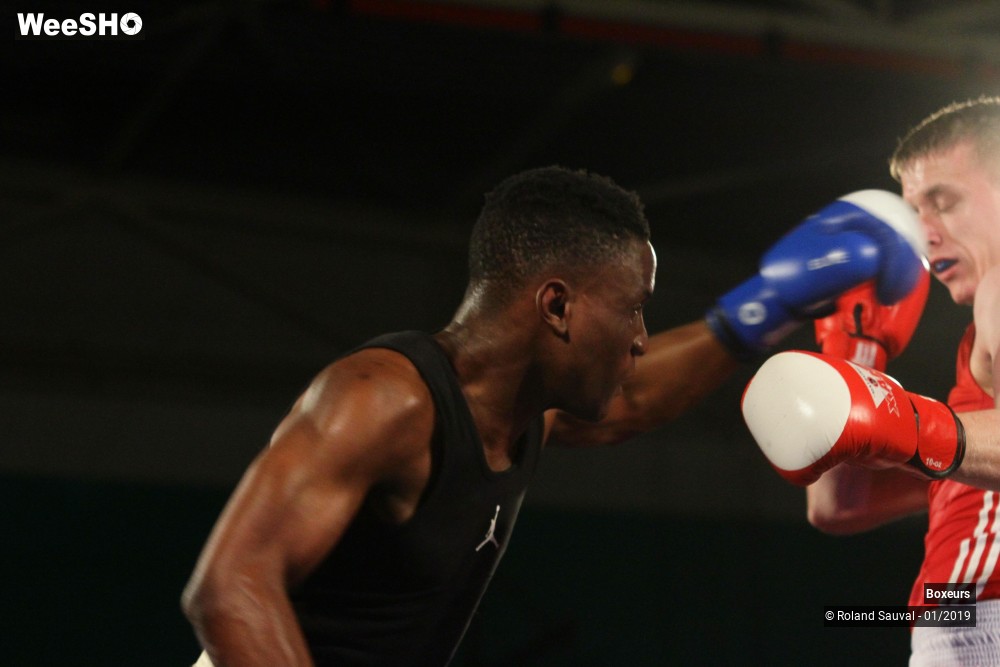 21/41 photos du spectacle Les combats amateurs