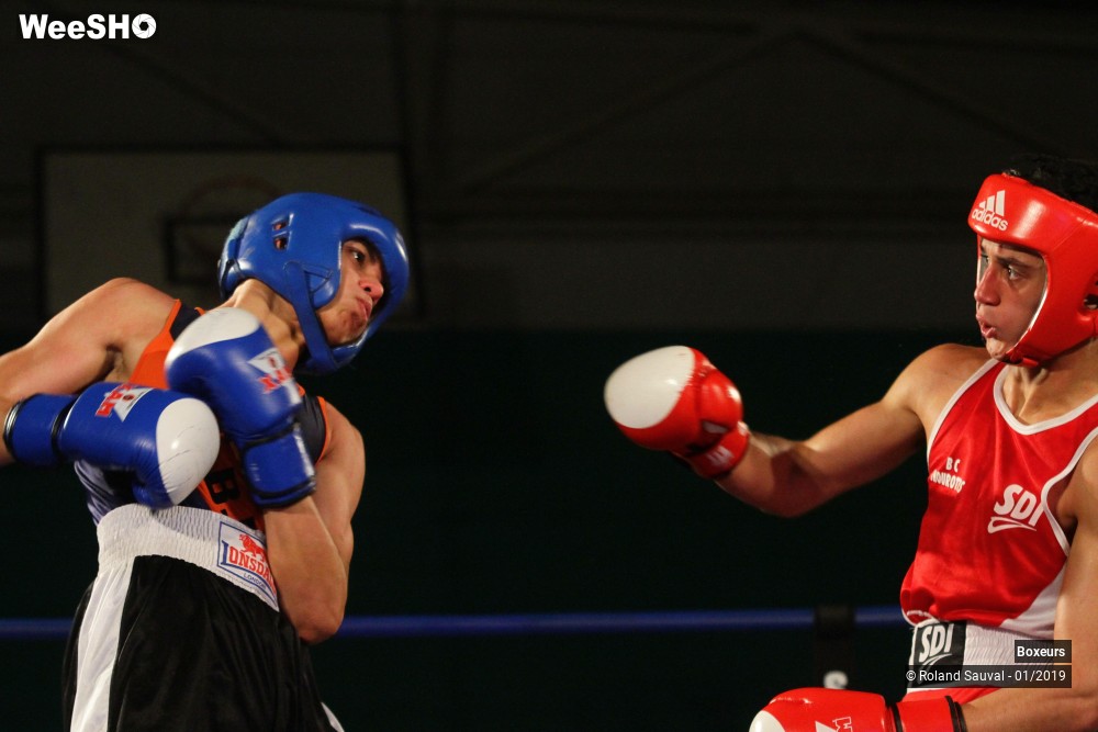 22/41 photos du spectacle Les combats amateurs