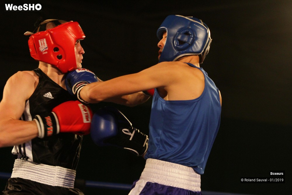 26/41 photos du spectacle Les combats amateurs