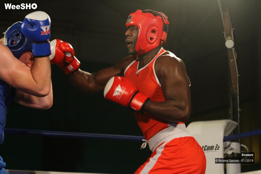 29/41 photos du spectacle Les combats amateurs