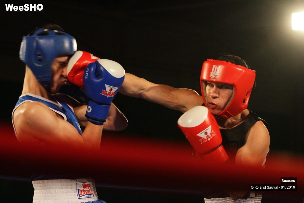 30/41 photos du spectacle Les combats amateurs