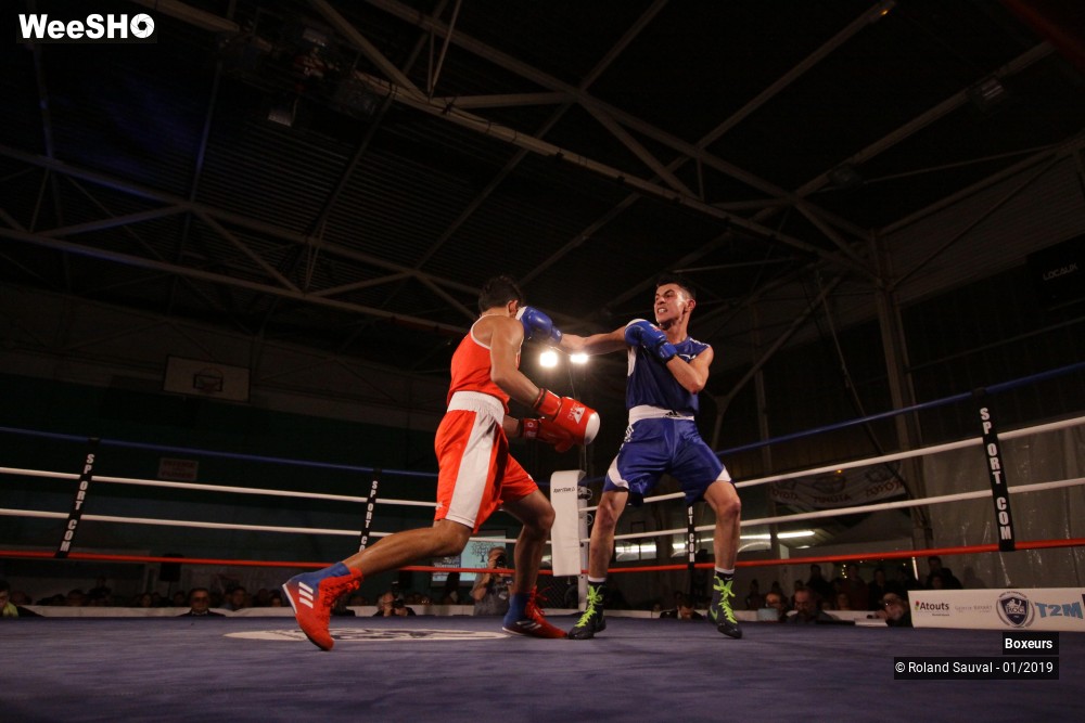 35/41 photos du spectacle Les combats amateurs