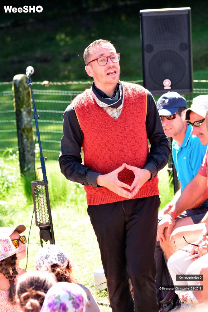 2/48 photos du spectacle Sherlock Holmes, son dernier coup d'archet