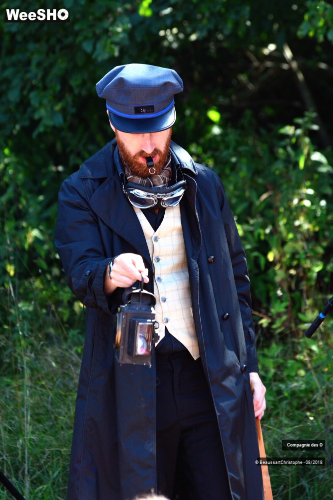 3/48 photos du spectacle Sherlock Holmes, son dernier coup d'archet