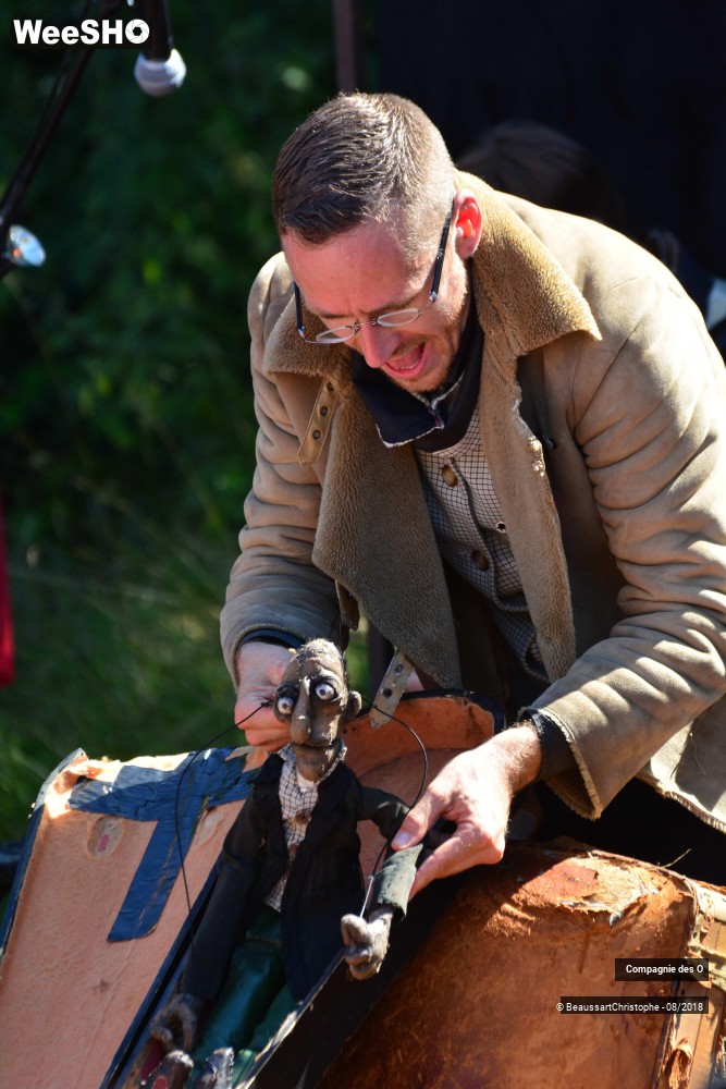 4/48 photos du spectacle Sherlock Holmes, son dernier coup d'archet