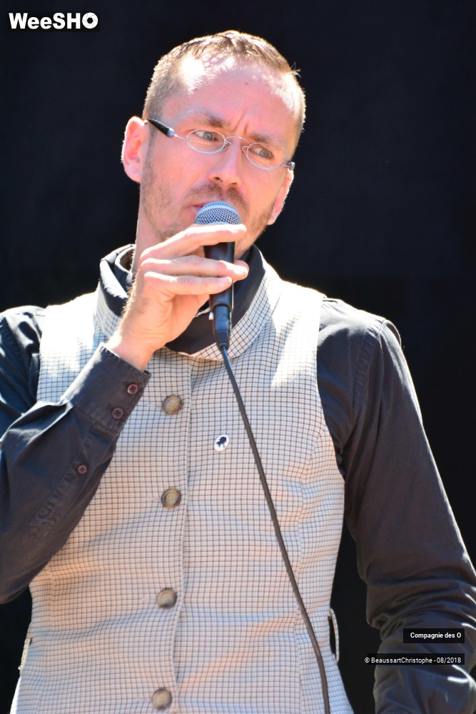 5/48 photos du spectacle Sherlock Holmes, son dernier coup d'archet