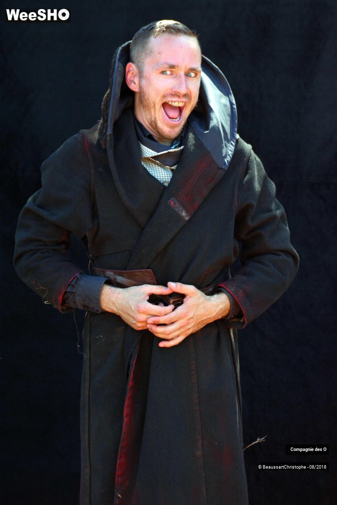 6/48 photos du spectacle Sherlock Holmes, son dernier coup d'archet