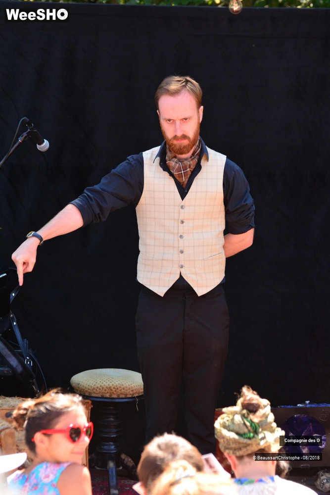 7/48 photos du spectacle Sherlock Holmes, son dernier coup d'archet