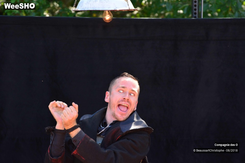 9/48 photos du spectacle Sherlock Holmes, son dernier coup d'archet