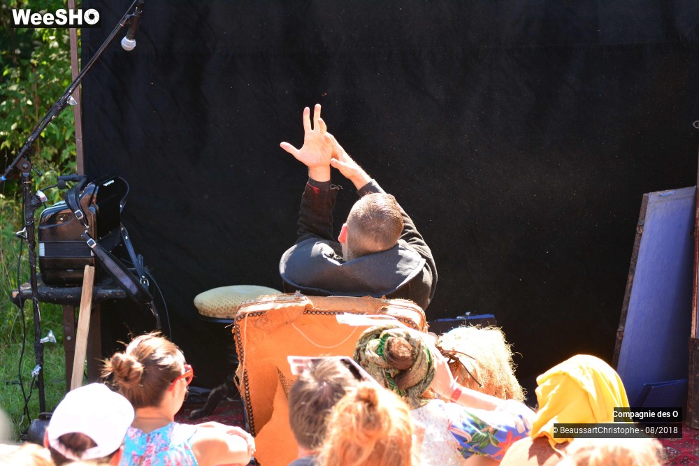 10/48 photos du spectacle Sherlock Holmes, son dernier coup d'archet