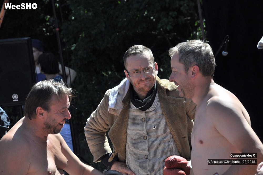 14/48 photos du spectacle Sherlock Holmes, son dernier coup d'archet