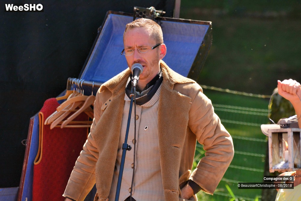 15/48 photos du spectacle Sherlock Holmes, son dernier coup d'archet