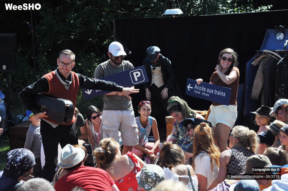 16/48 photos du spectacle Sherlock Holmes, son dernier coup d'archet