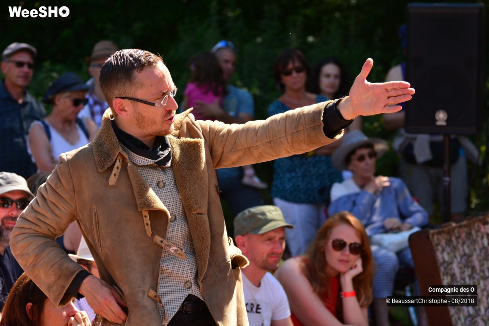 17/48 photos du spectacle Sherlock Holmes, son dernier coup d'archet