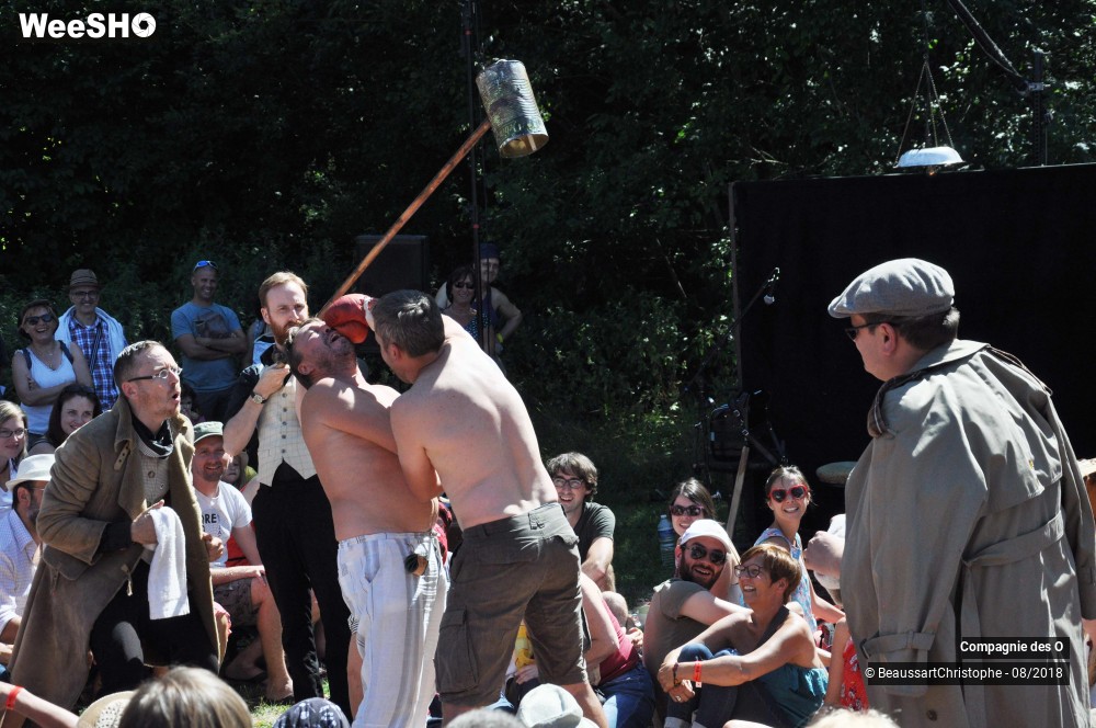 18/48 photos du spectacle Sherlock Holmes, son dernier coup d'archet