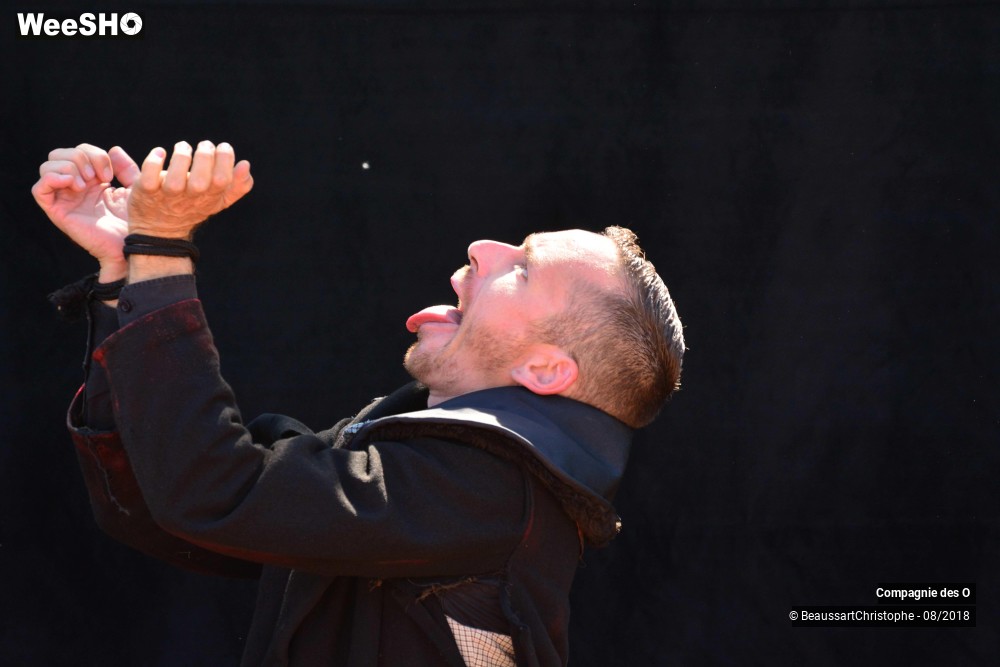 20/48 photos du spectacle Sherlock Holmes, son dernier coup d'archet