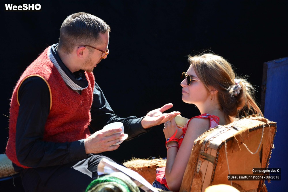 22/48 photos du spectacle Sherlock Holmes, son dernier coup d'archet