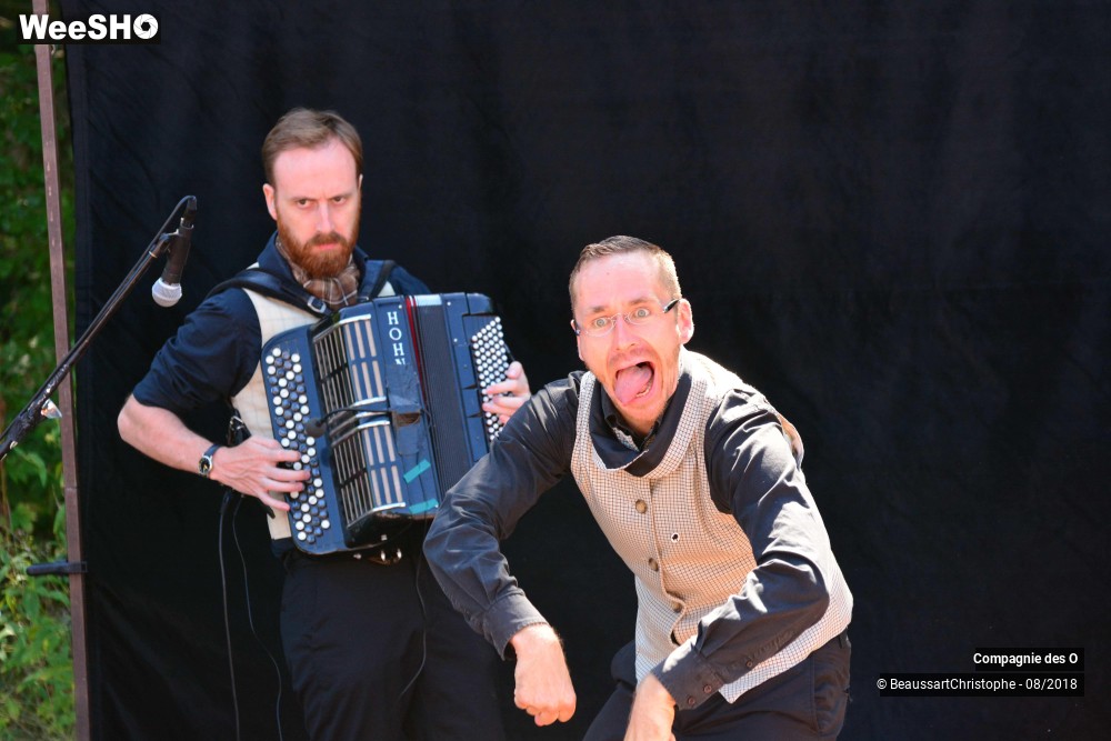 26/48 photos du spectacle Sherlock Holmes, son dernier coup d'archet