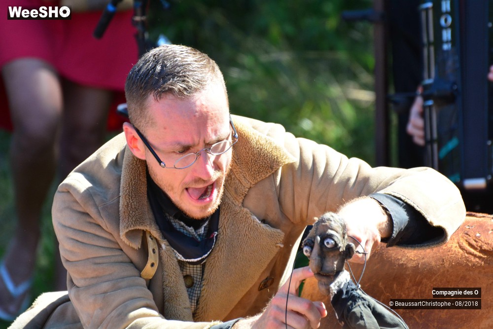 27/48 photos du spectacle Sherlock Holmes, son dernier coup d'archet