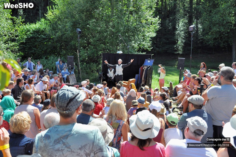 28/48 photos du spectacle Sherlock Holmes, son dernier coup d'archet