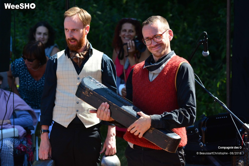 30/48 photos du spectacle Sherlock Holmes, son dernier coup d'archet