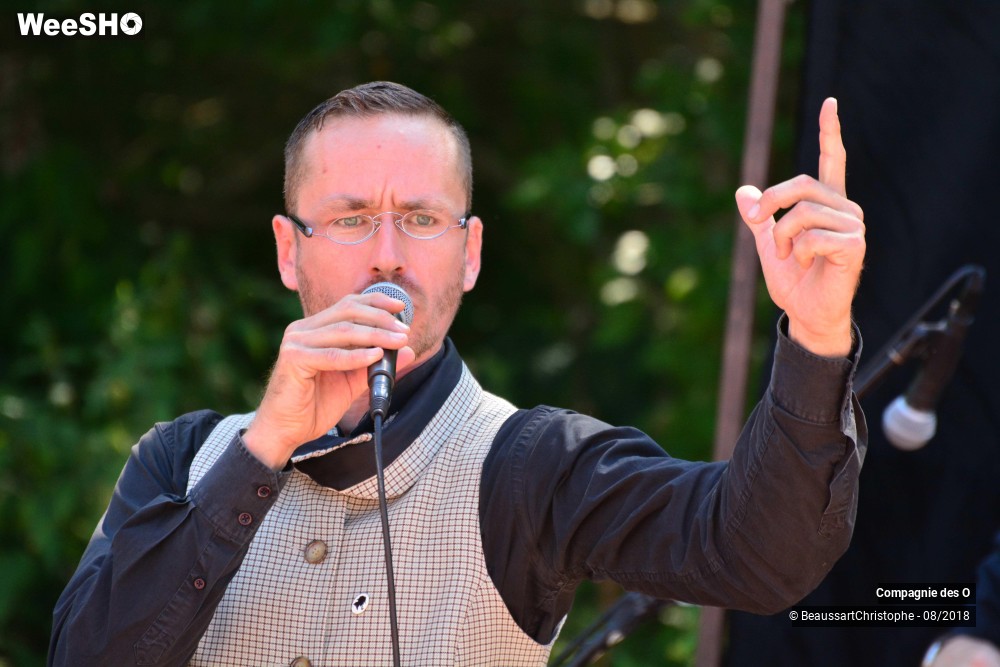 31/48 photos du spectacle Sherlock Holmes, son dernier coup d'archet